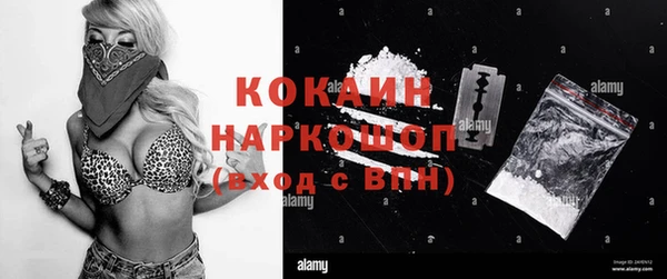 spice Бородино