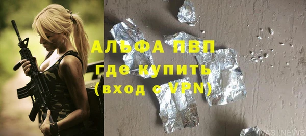 spice Бородино