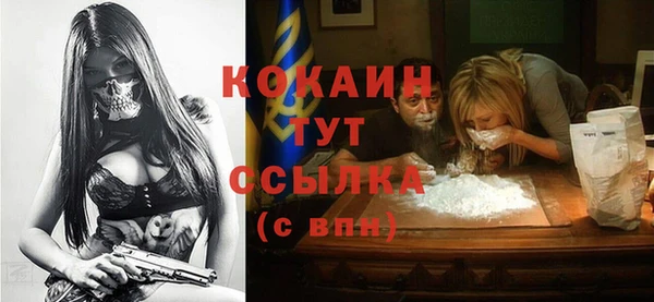 spice Бородино